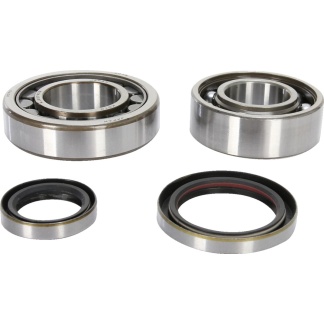 ProX - Crankshaft Bearing And Seal Kit