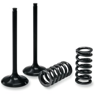 ProX - Valve And Spring Intake Kit