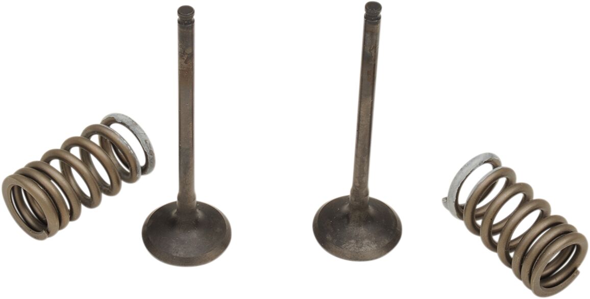 ProX - Valve And Spring Exhaust Kit