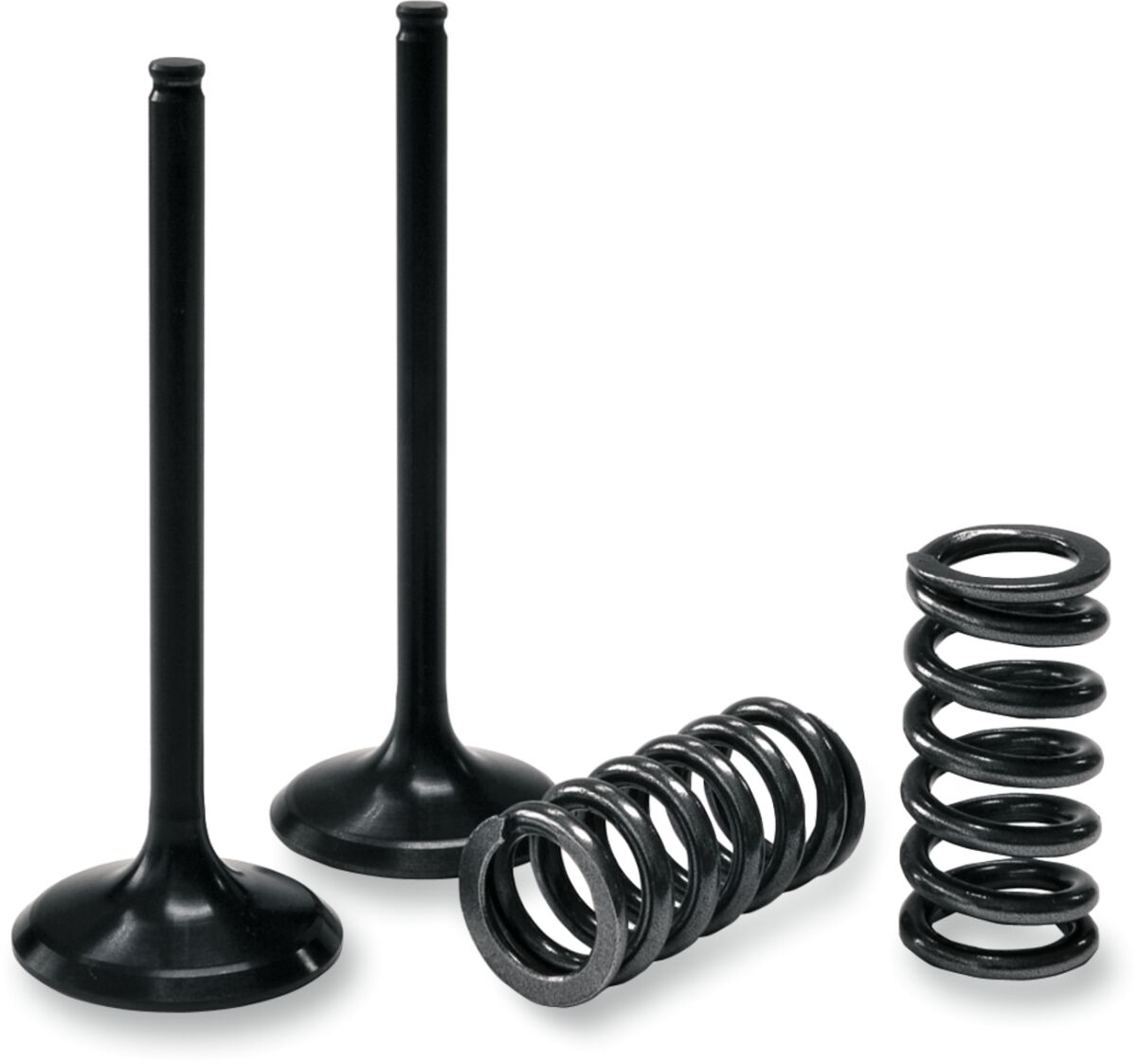 ProX - Valve And Spring Intake Kit