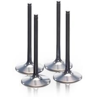 ProX - Exhaust Valve Titanium