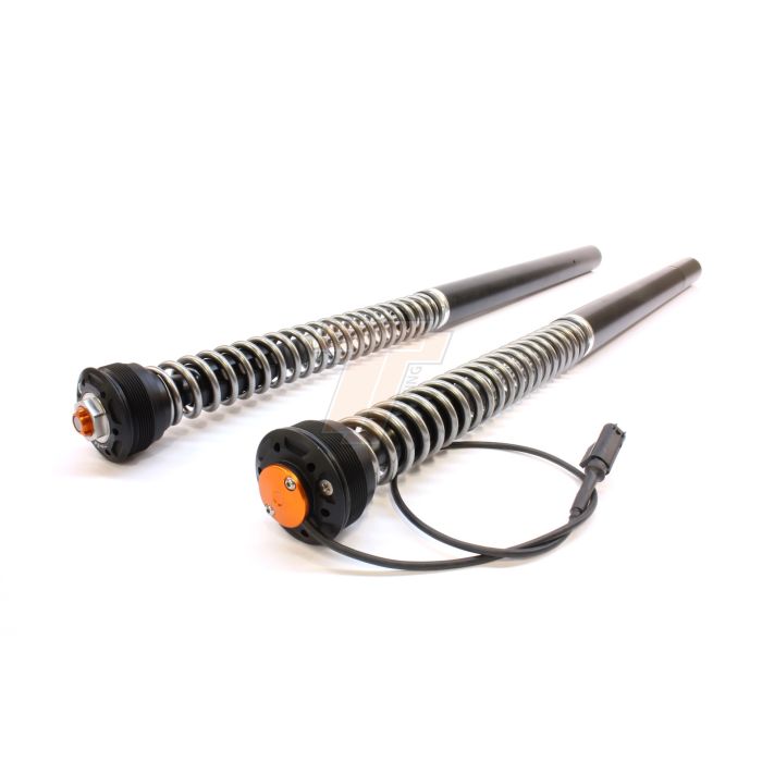 TracTive - BMW R 1200 R/RS Fork Cartridge kit eX-TREME